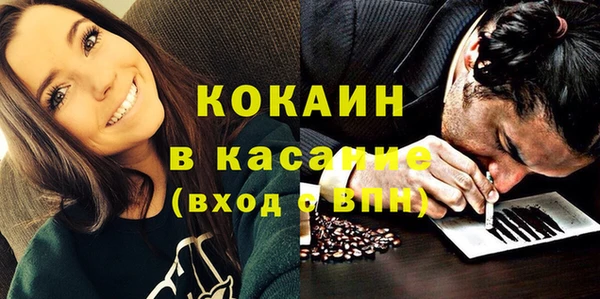 крисы Абаза