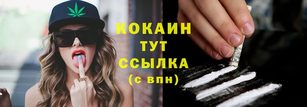 крисы Абаза