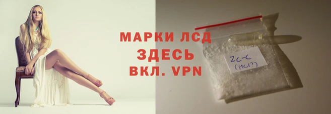 крисы Абаза