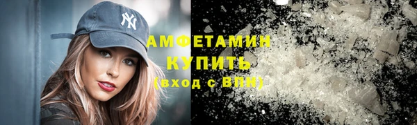 крисы Абаза