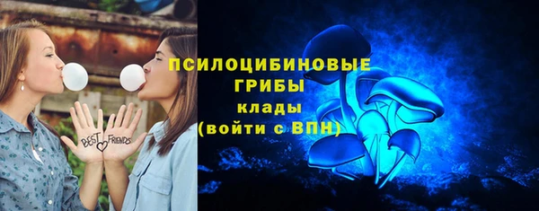 крисы Абаза